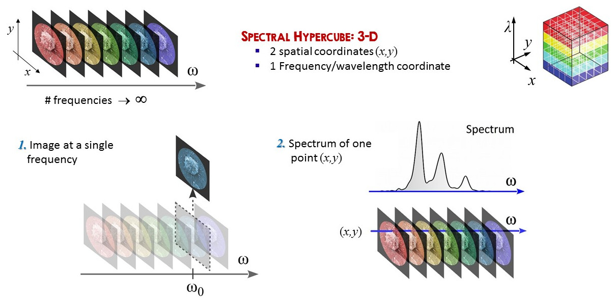 Hyperspectral datacube, with (x,y,w) information